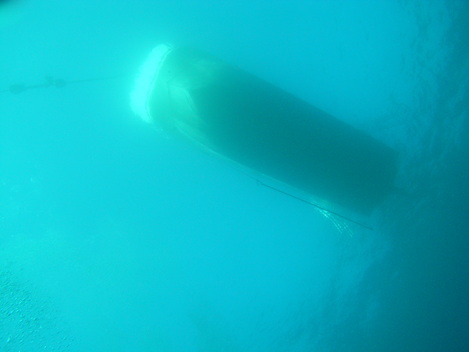e0115199_1382376.jpg