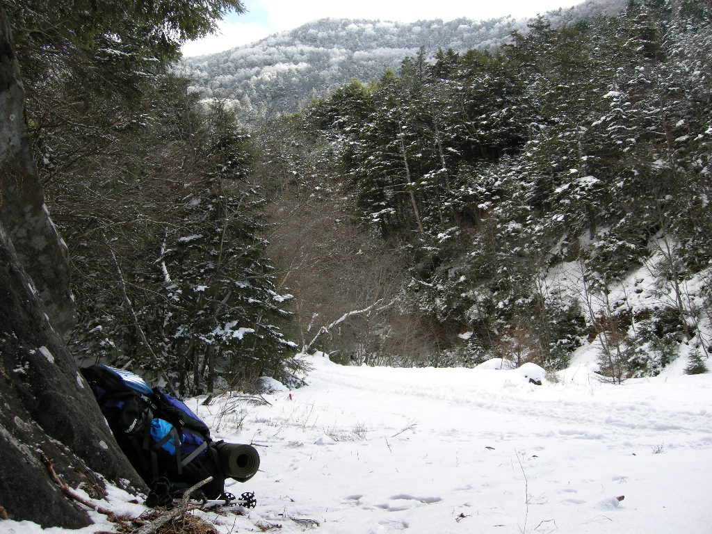 a0158802_22493385.jpg