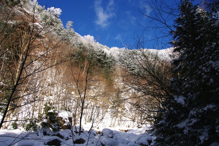 a0158802_2254368.jpg