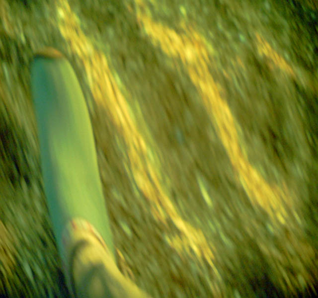 e0153702_21233061.jpg