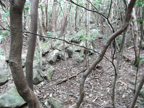 f0187402_22503650.jpg