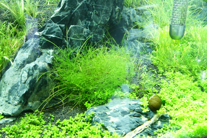 a0249003_1721295.jpg
