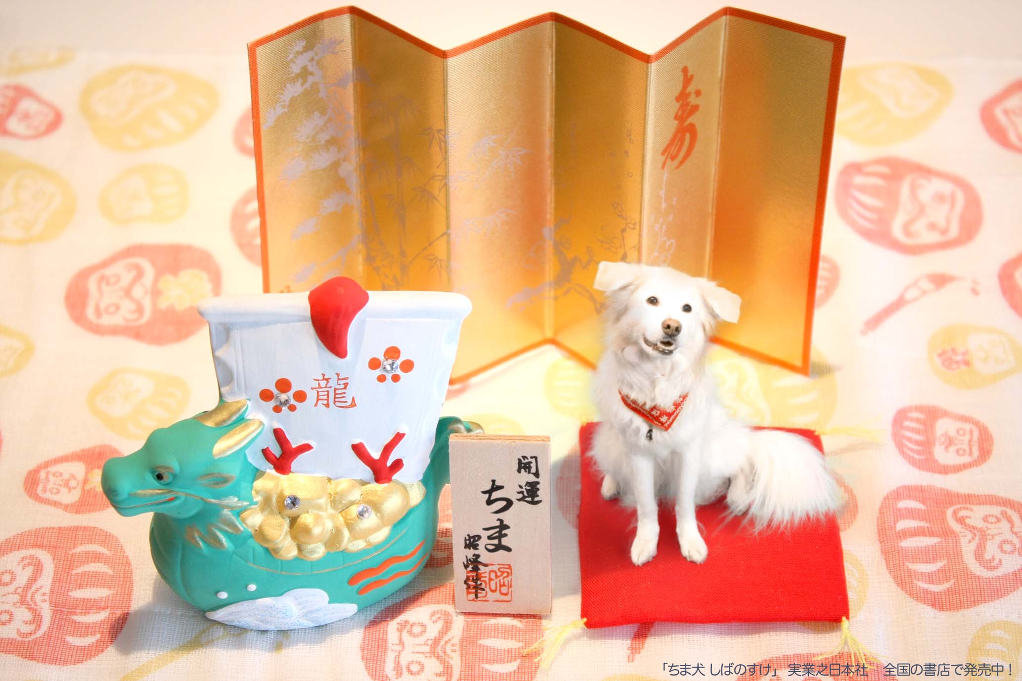 ちま犬 写真 年賀状 Ny Card Design Islay And Pals アイラと素敵な仲間達blog Islay The Mutt ちま犬 写真 年賀状 Ny Card Design Islay And Pals アイラと素敵な仲間達blog Islay The Mutt