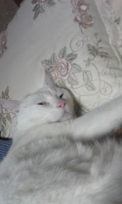 c0180209_22231629.jpg