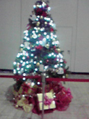 a0031714_1765916.jpg