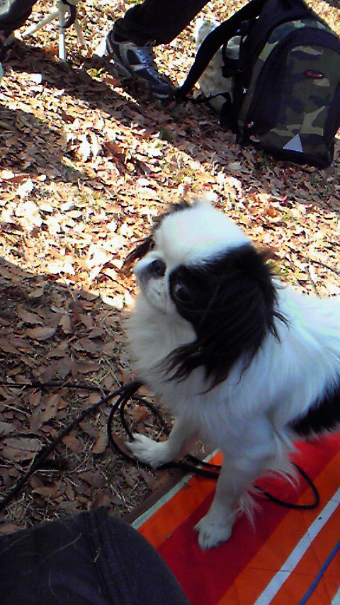 c0200916_2033518.jpg