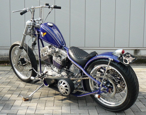 \" EVO Rigid \"_b0160319_1110617.jpg