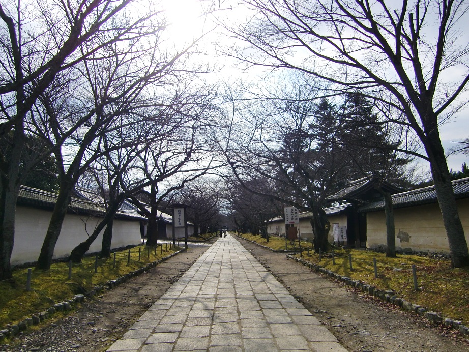 c0219820_23425539.jpg
