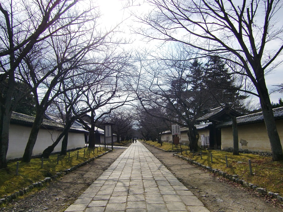 醍醐寺（京都府京都市伏見区）_c0219820_23425539.jpg