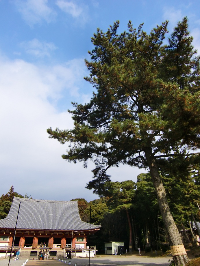 醍醐寺（京都府京都市伏見区）_c0219820_23434059.jpg