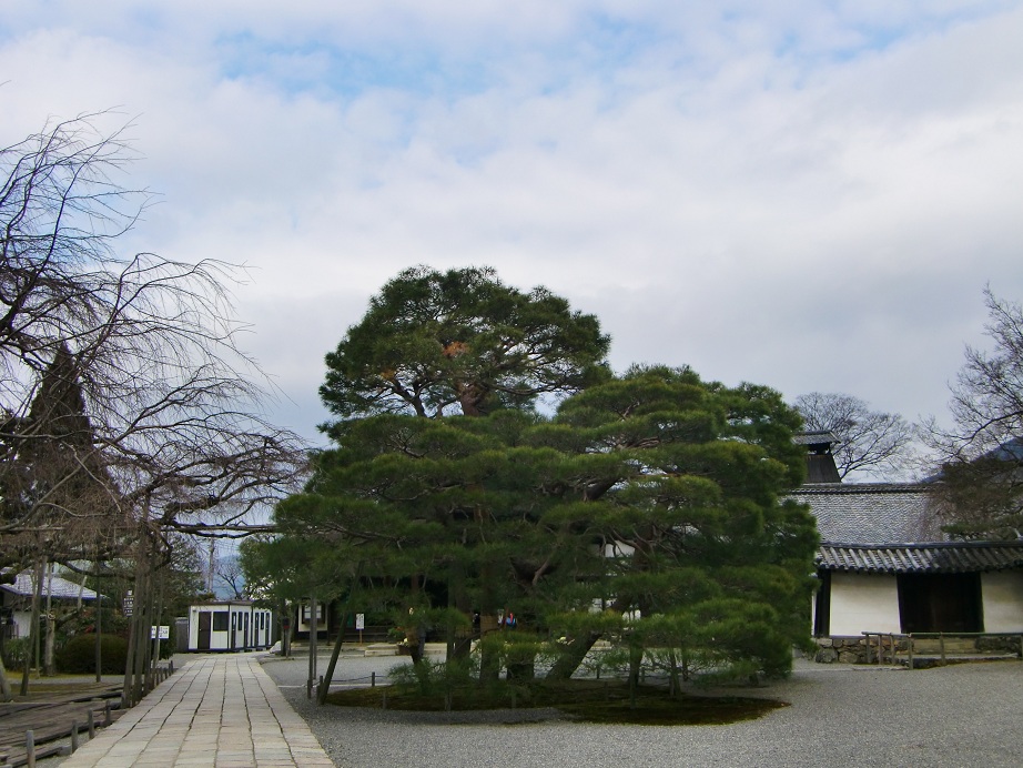 醍醐寺（京都府京都市伏見区）_c0219820_23453211.jpg