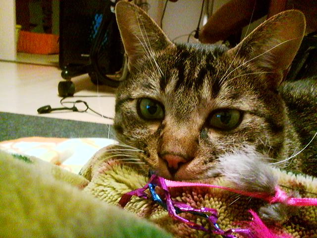 a0135924_035056.jpg