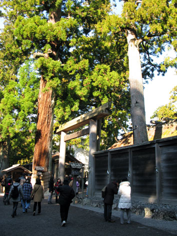 初詣_f0129726_22431647.jpg