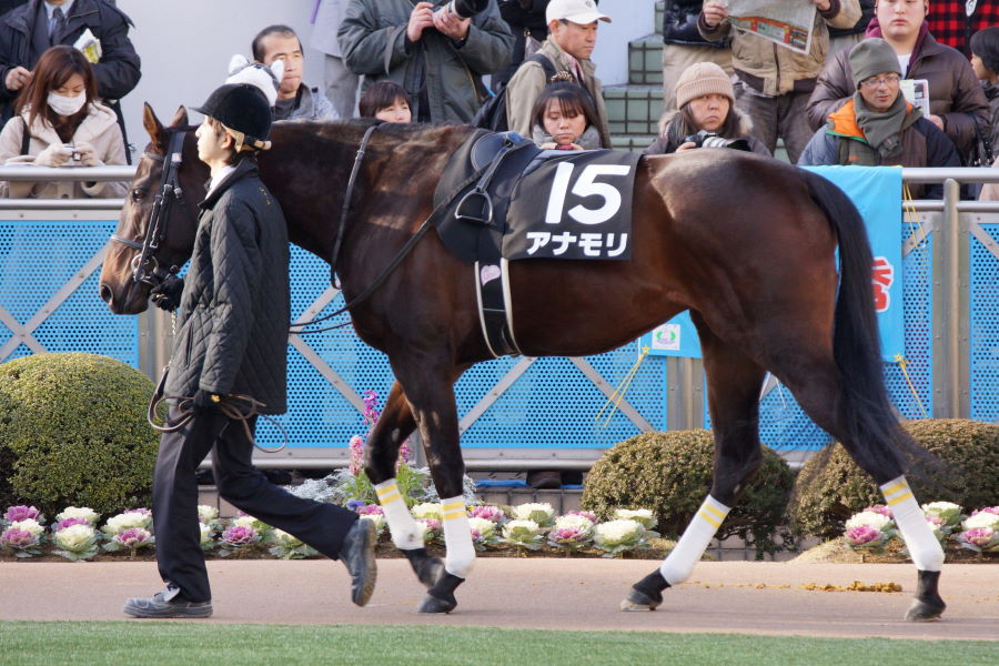 2012年競馬の撮り初め_a0035333_19484515.jpg