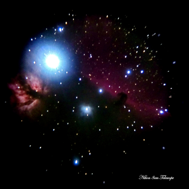 伝説の天体写真家(馬頭星雲)_b0167343_2364755.jpg
