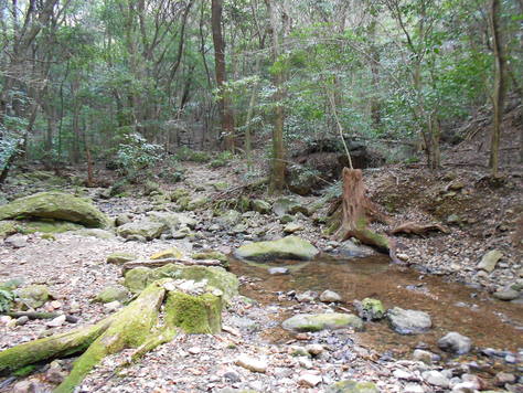 a0206345_15265655.jpg
