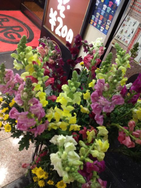 花とベルクのあいだで_c0069047_1952456.jpg