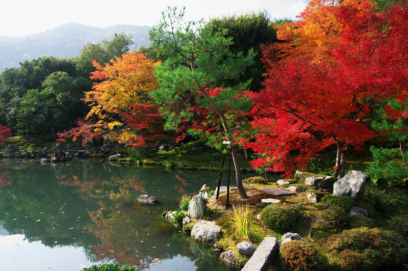 天龍寺曹源池庭園・絶景紅葉_f0155048_15641.jpg