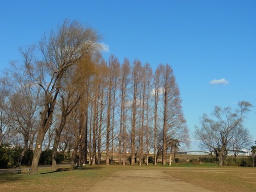 c0193061_0102947.jpg