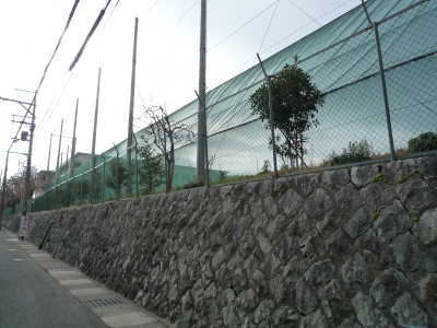 2012 近江旅行記... 大津編① Zeze Nostalgia_b0141664_20372714.jpg