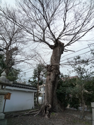 2012 近江旅行記... 大津編① Zeze Nostalgia_b0141664_21554799.jpg
