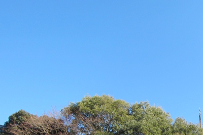 b0170264_2335965.jpg