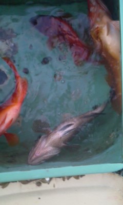 e0204372_2048099.jpg