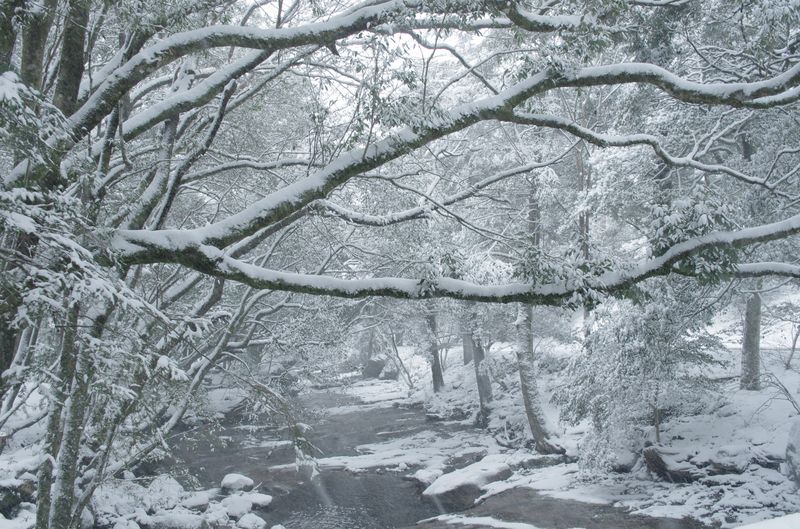 e0152576_2115381.jpg