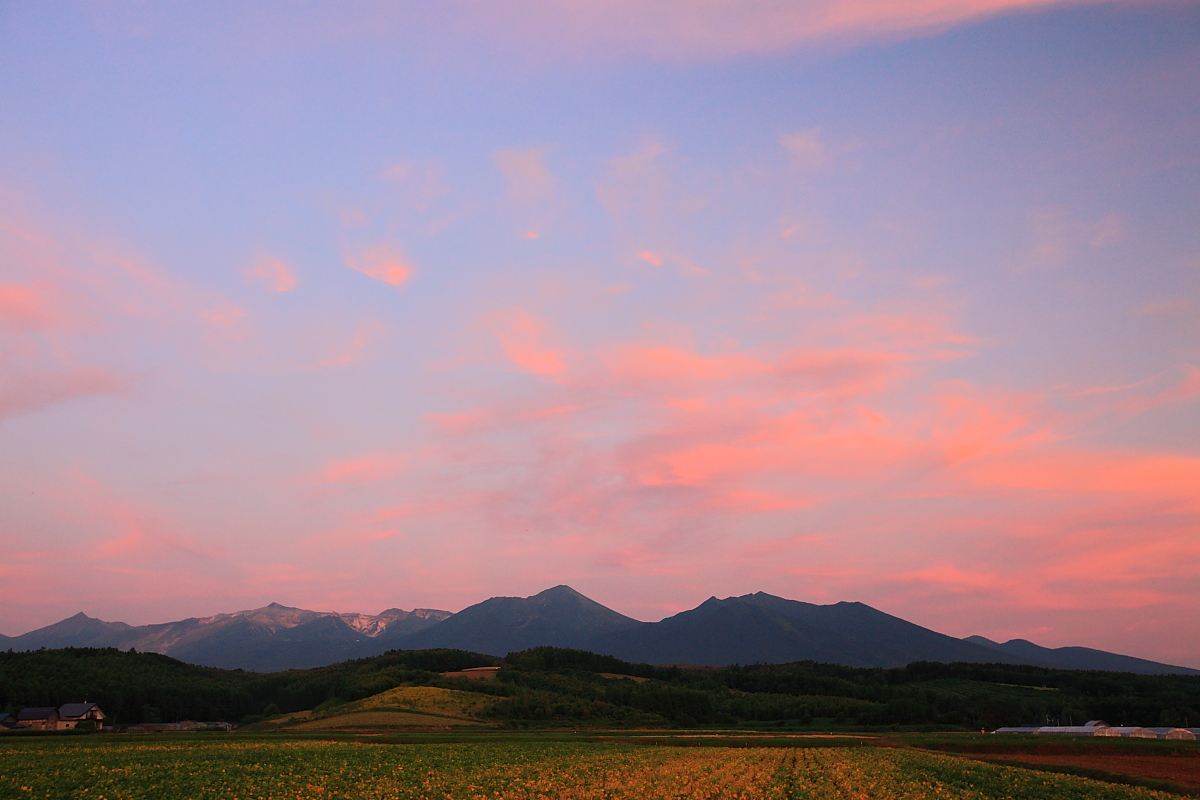 富良野の夕景 Ⅳ_f0057178_1746680.jpg