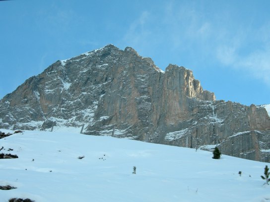 a0189883_624372.jpg