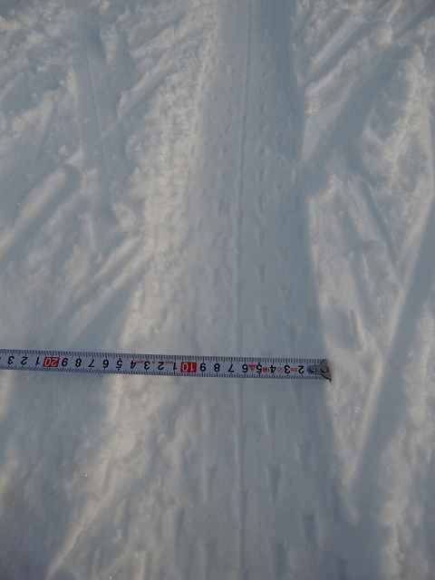 a0242984_91834.jpg