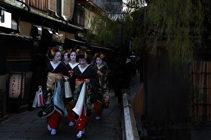 新春行事：京都の花街「始業式」　艶やかな芸舞妓さん_c0059485_2339235.jpg