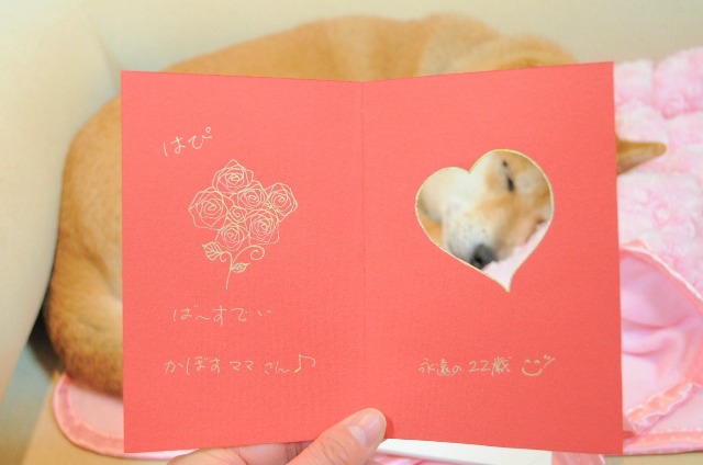ついに私も・・・_a0126590_0263636.jpg