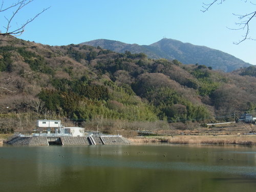 a0214490_1443014.jpg