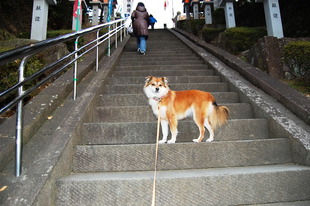 b0054391_746764.jpg