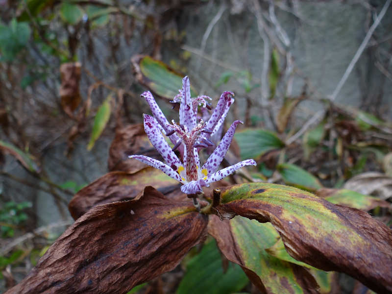 f0204094_1011576.jpg