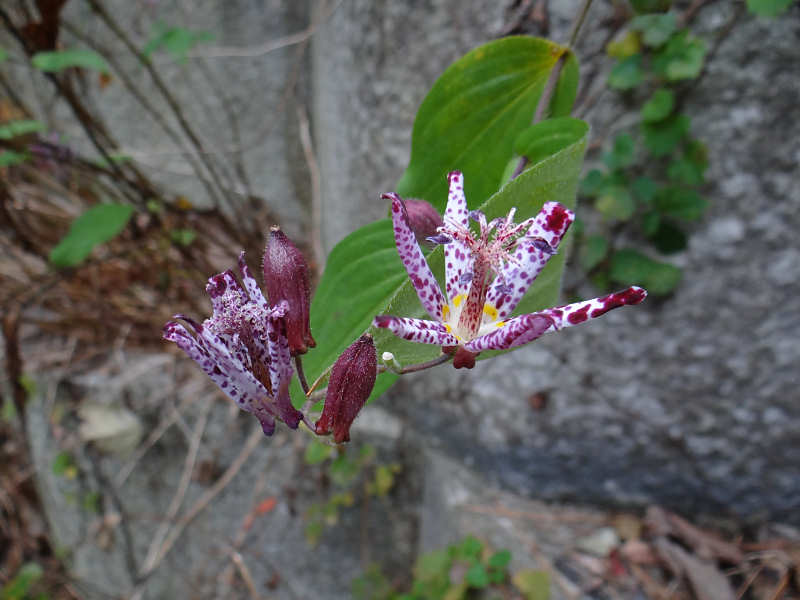 f0204094_101242.jpg