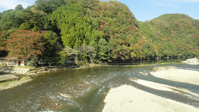 d0004301_0132983.jpg