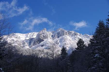 a0158802_22401314.jpg