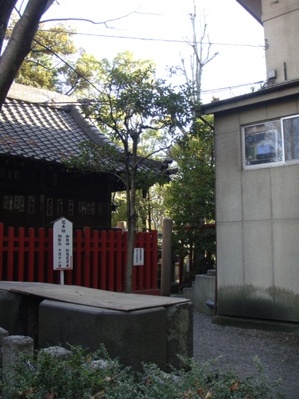 a0167803_18405220.jpg