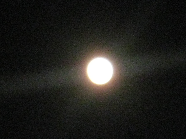 c0212604_1963158.jpg