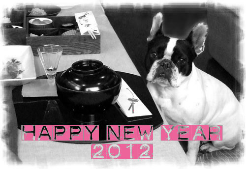 2012年も宜しくお願いいたします!_f0184004_11593177.jpg