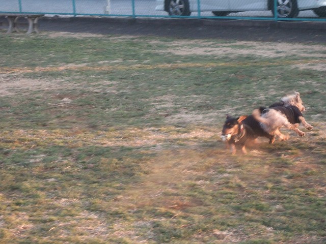 a0227507_23242564.jpg