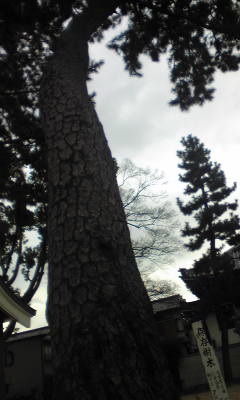 c0180209_20472476.jpg