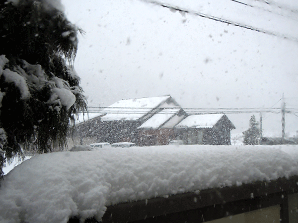 b0159611_591899.gif