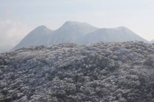 黒岩山 （大分県） 　1503ｍ_f0212511_22385163.jpg