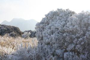 黒岩山 （大分県） 　1503ｍ_f0212511_223906.jpg