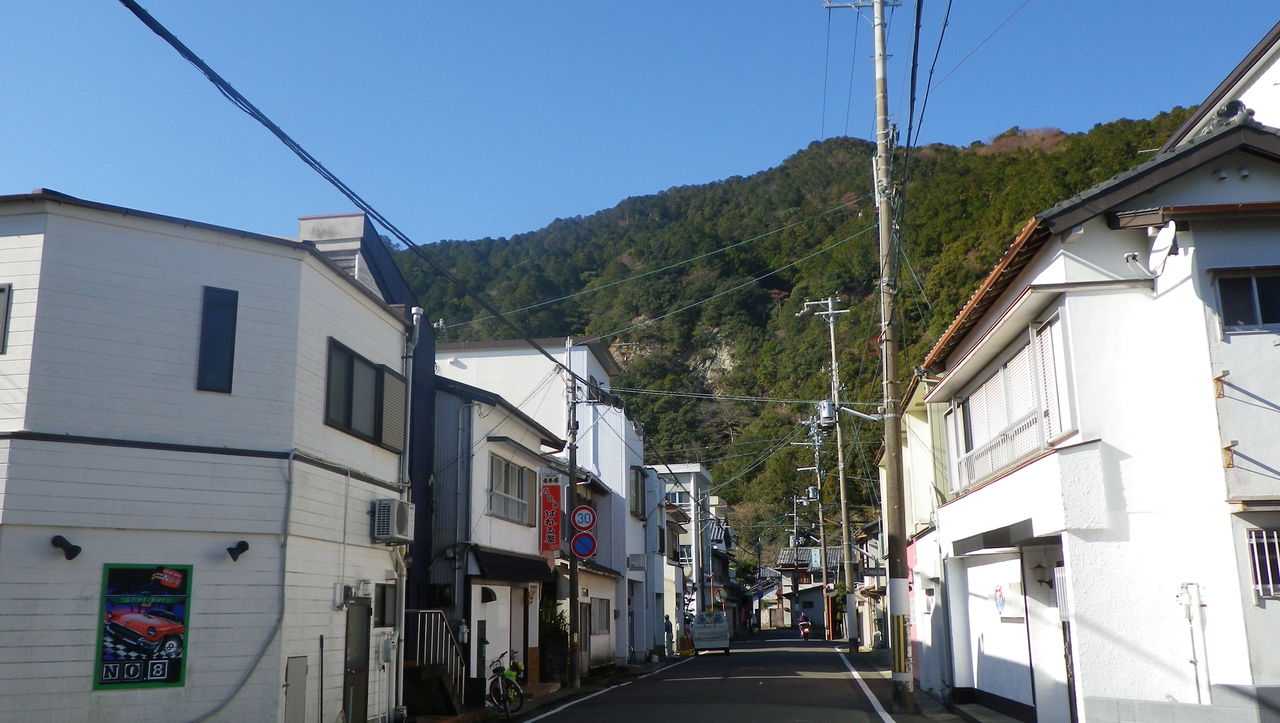 e0015113_3343419.jpg
