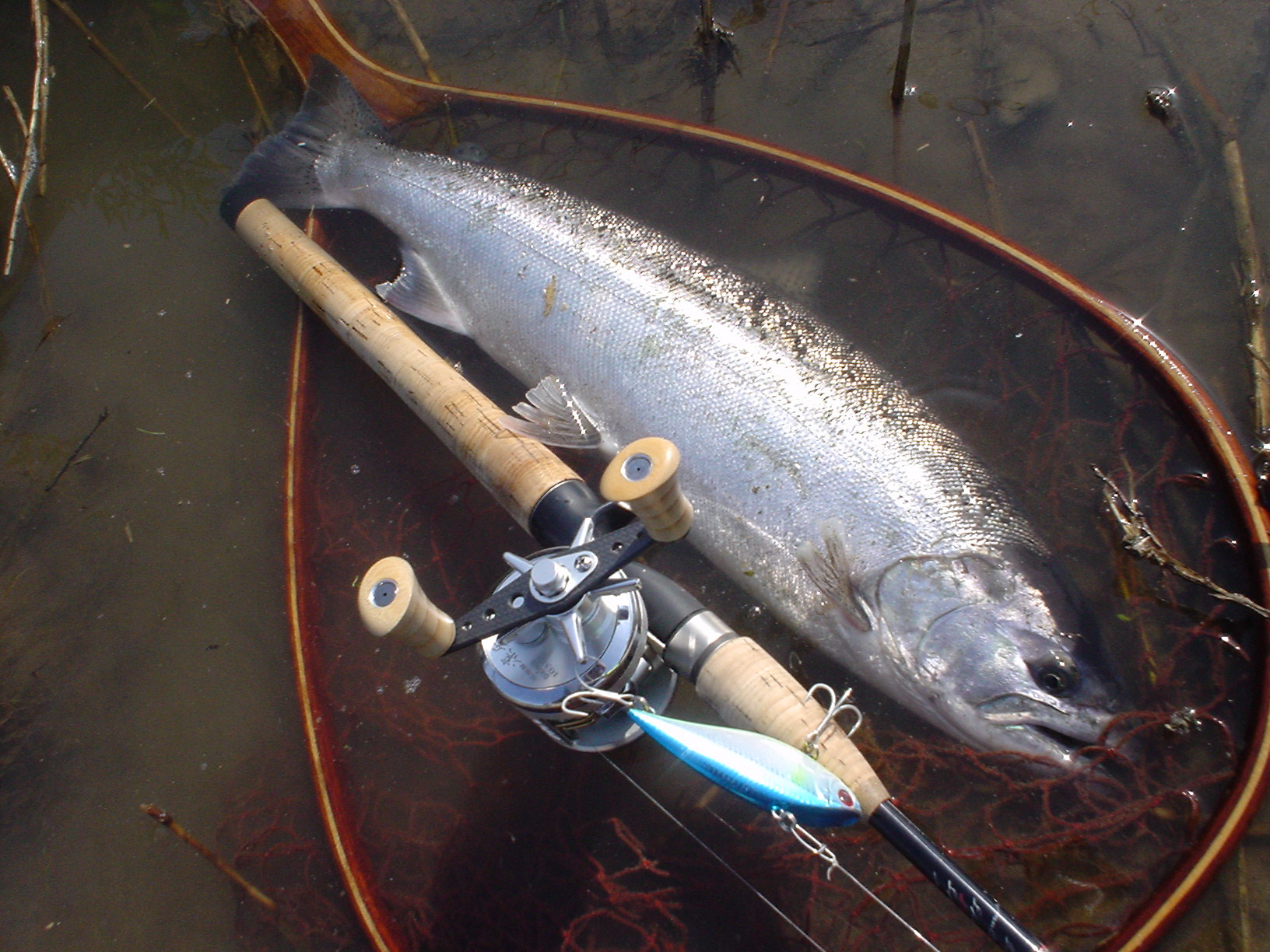 0505 九頭龍川 サクラマス62cm 50cm 2 River Trekker