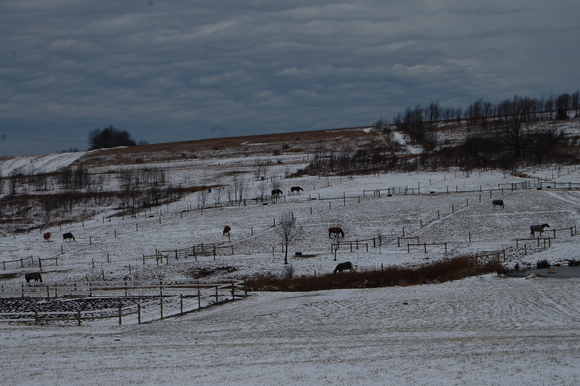 f0233815_60643.jpg